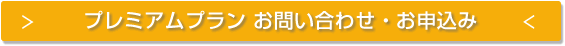 �v���~�A���v�������₢���킹�E�\����