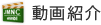 �C���v�����g�V������Љ�