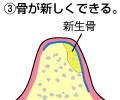 �ǣ£�ˡ