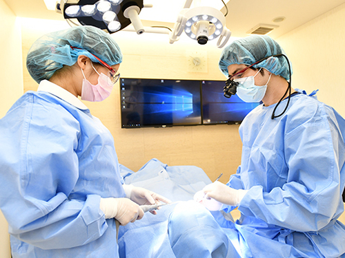 ����������ʰ��� ��������