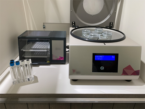 PRGF��ʬΥ��