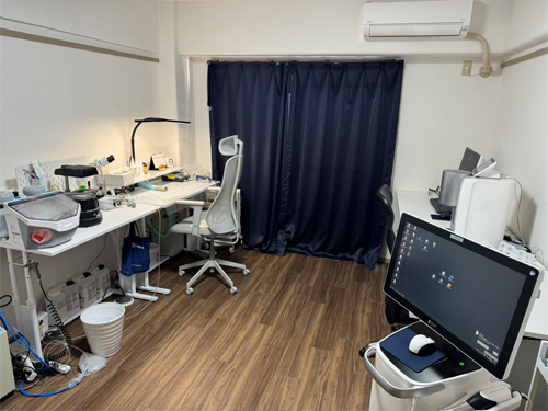 ���ʵ�����