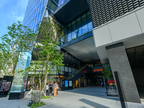 ���ѡʥӥ��