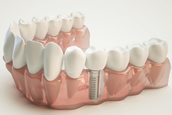 �͹���������