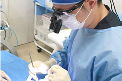 経験ある歯科医師による治療