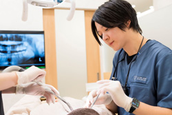 ��ǯ�ݾ����١�̵���Υ���ץ������ѥ��꡼�˥�