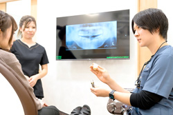 �����󥻥�󥰡���̩����������