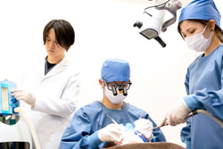 �͹������������