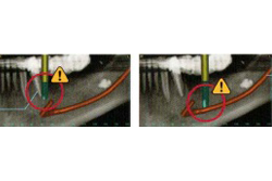 ����ץ��Ȥ����������֤���������ʤ��ȡ�����