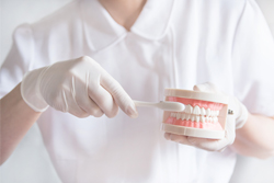 ���֥饷�ʥ��饦��⤷���ϥ֥�å��ξ���