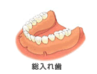 ξ
