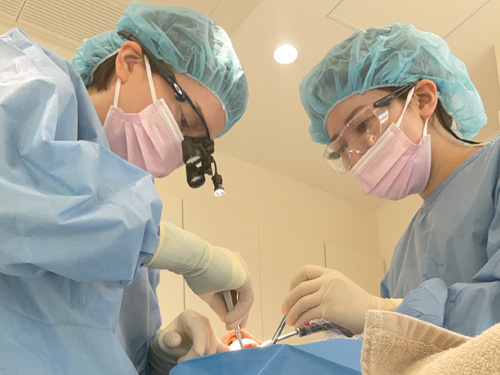 �䤹�������ʰ屡