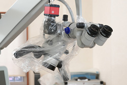 �ޥ������������פ�Ƴ��