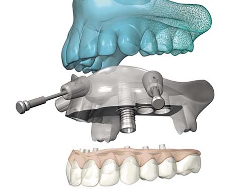 Wellness Dental Clinic