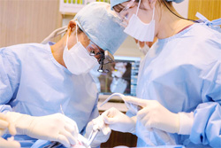 チーム体制の歯科医療で患者様をサポート