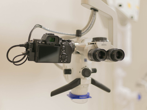 ����ˡ��NATURALEE ������ǥ󥿥륯��˥å�