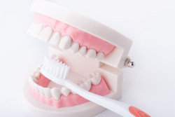 ����ץ��ȼ��ϱ�