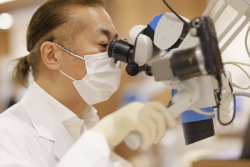 ���׼���ˡ�� ���ܸ��Х���ץ��ȳز��������ʤ���Ŀ�����ұ�Ĺ�ˤ����߹�碌��ռ���������ץ��ȼ���