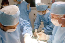 ����ץ����Զ��ؤ��б�