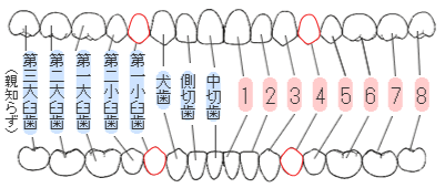 関連画像