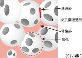 新骨補填材構造図