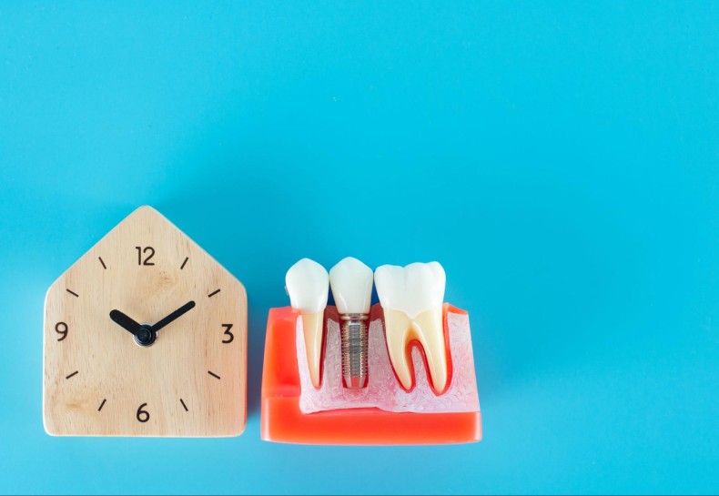 時間の経過と歯の模型