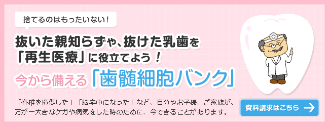 今から備える「歯髄細胞バンク」